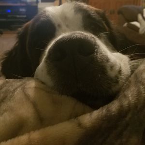 Meet your Posher, Kealey